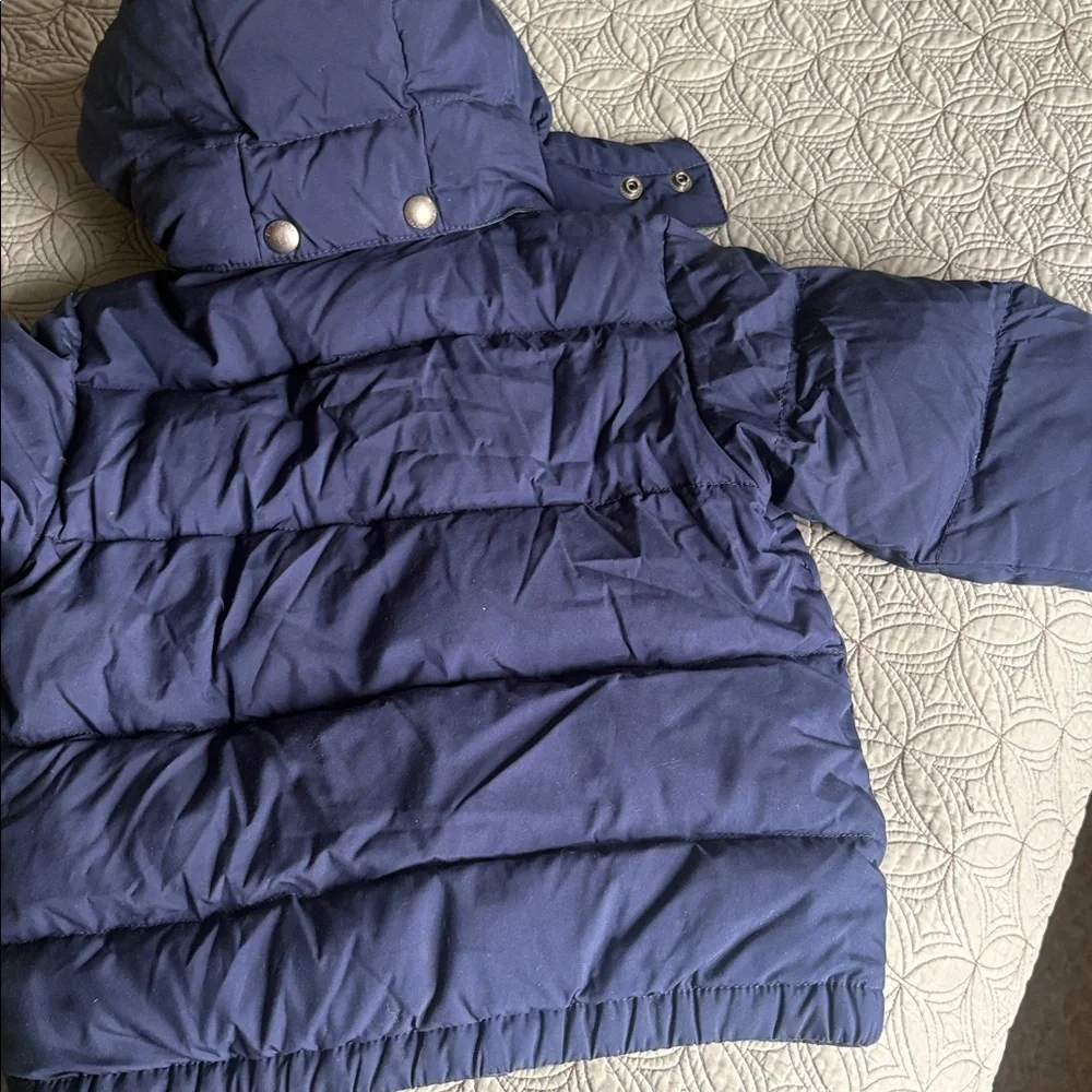 Ralph Lauren Kids Puffer Jacket in Navy and Green